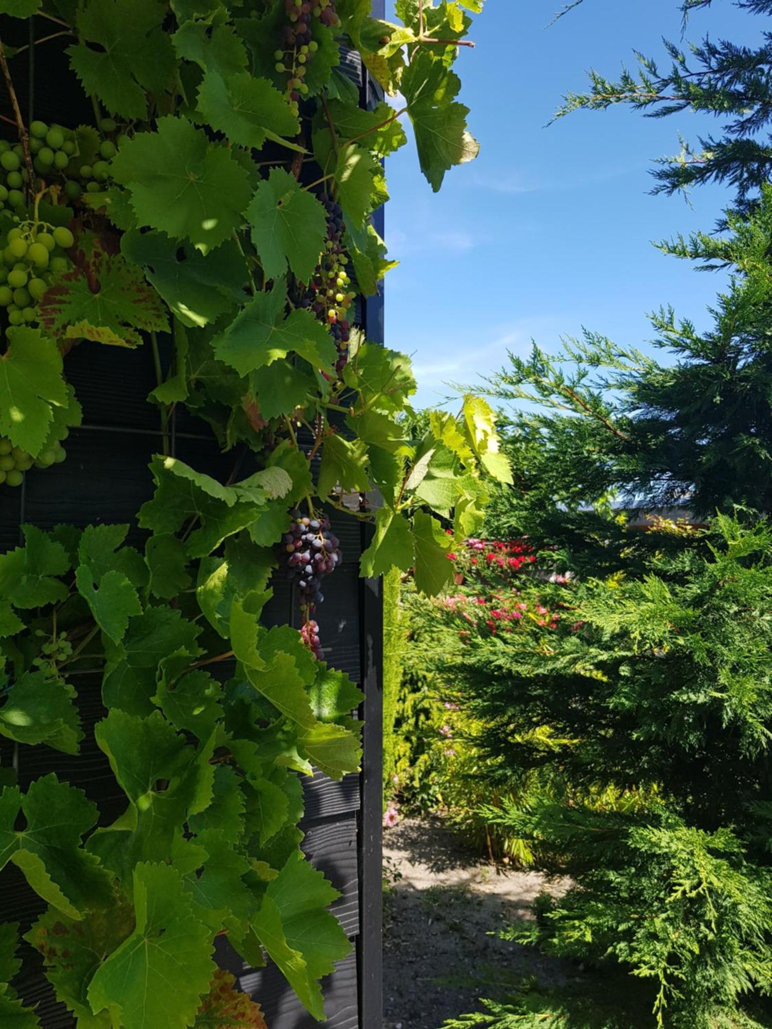 B&B Welkom Зирикзе Номер фото