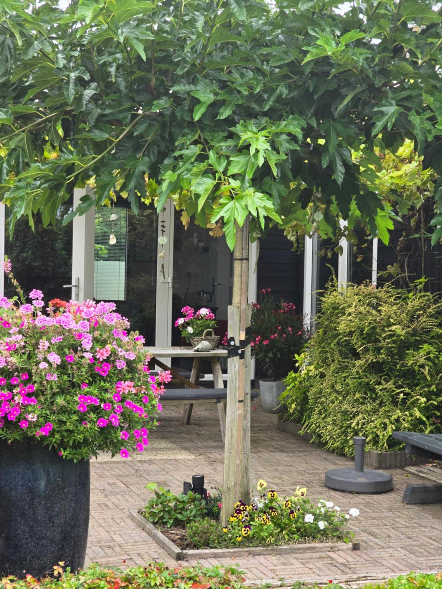 B&B Welkom Зирикзе Экстерьер фото