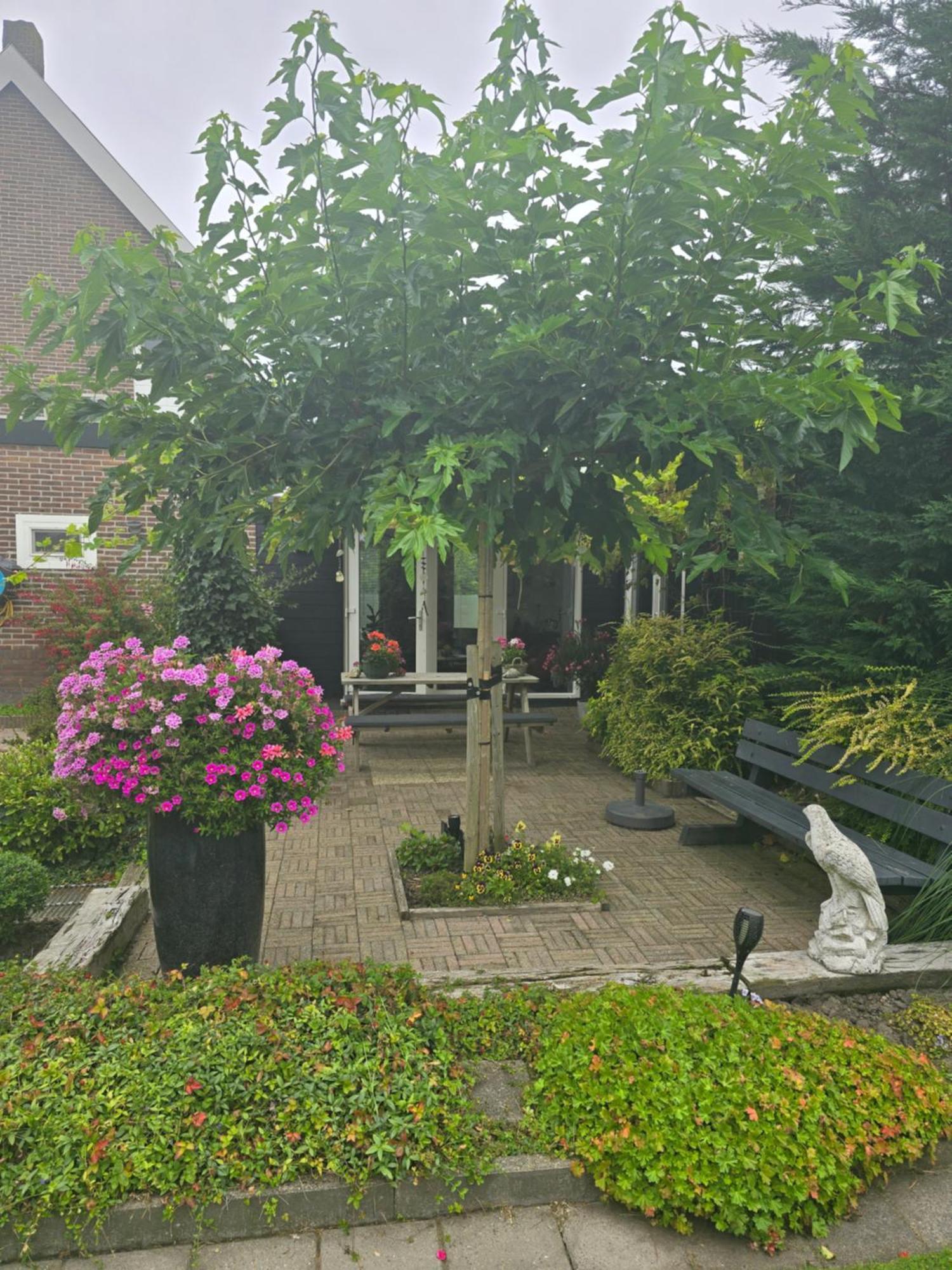B&B Welkom Зирикзе Экстерьер фото